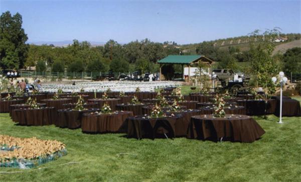 فندق The Eden House Vineyard تمبلتون المظهر الخارجي الصورة