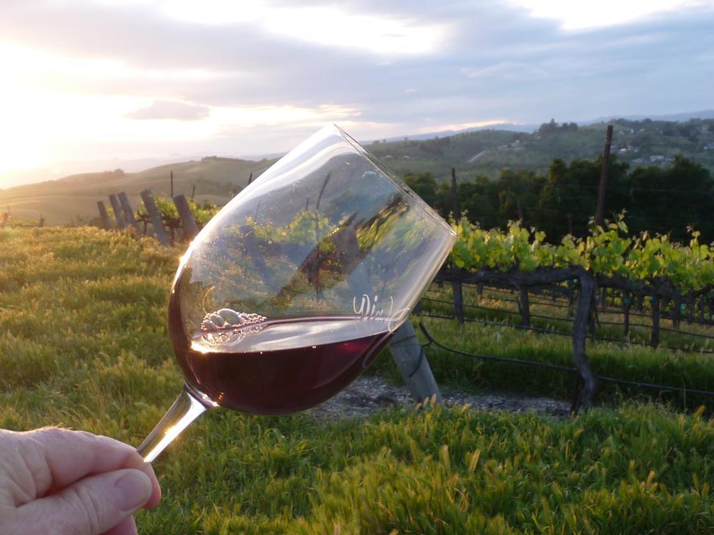 فندق The Eden House Vineyard تمبلتون المظهر الخارجي الصورة