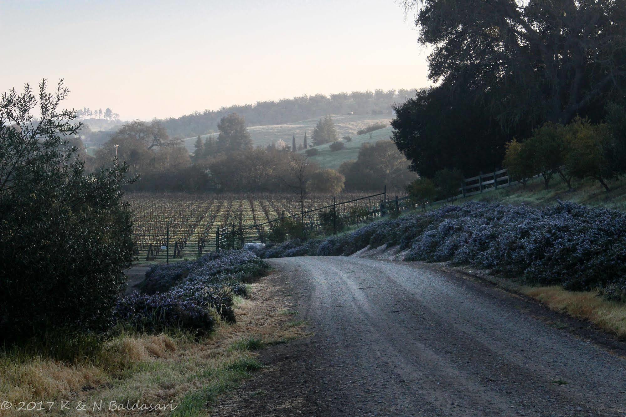 فندق The Eden House Vineyard تمبلتون المظهر الخارجي الصورة