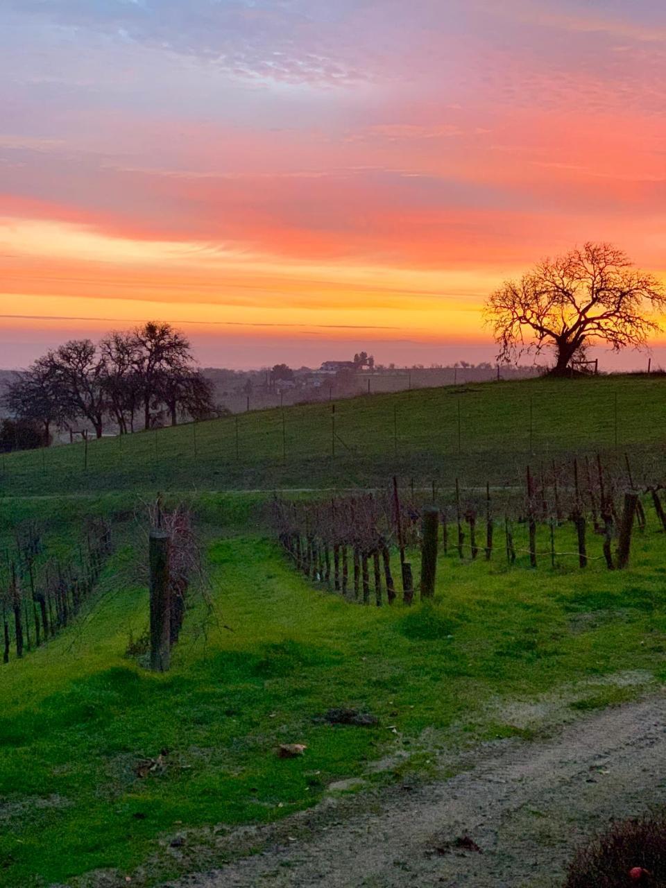 فندق The Eden House Vineyard تمبلتون المظهر الخارجي الصورة