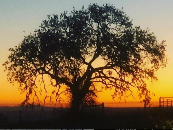 فندق The Eden House Vineyard تمبلتون المظهر الخارجي الصورة