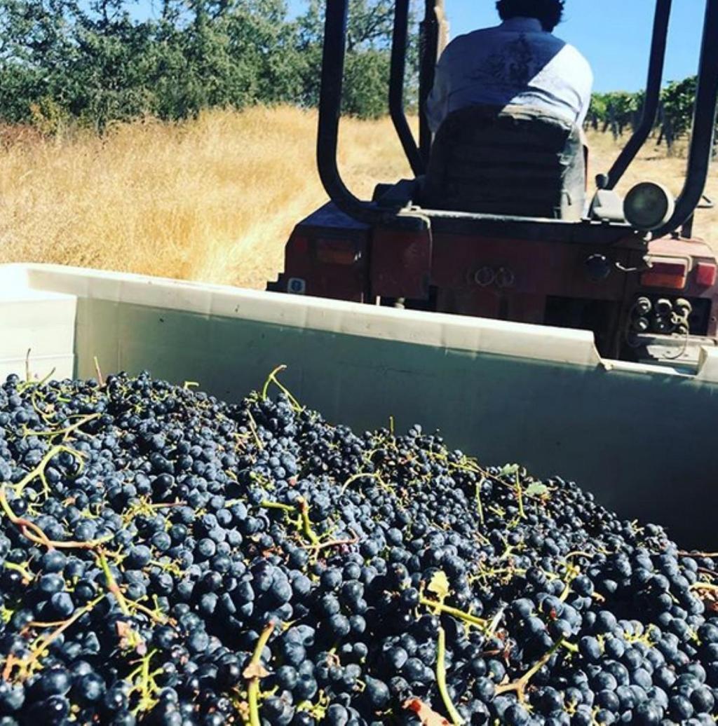 فندق The Eden House Vineyard تمبلتون المظهر الخارجي الصورة