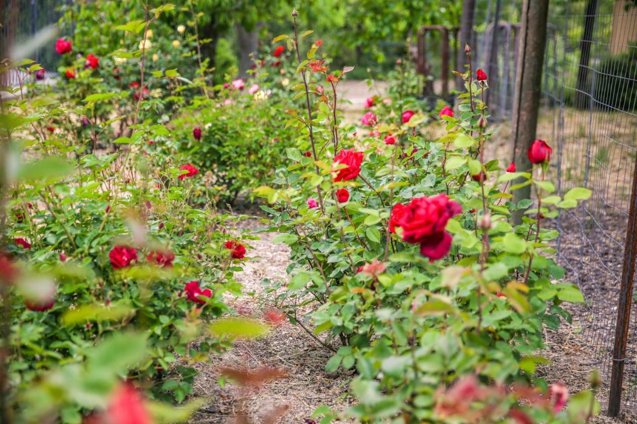 فندق The Eden House Vineyard تمبلتون المظهر الخارجي الصورة